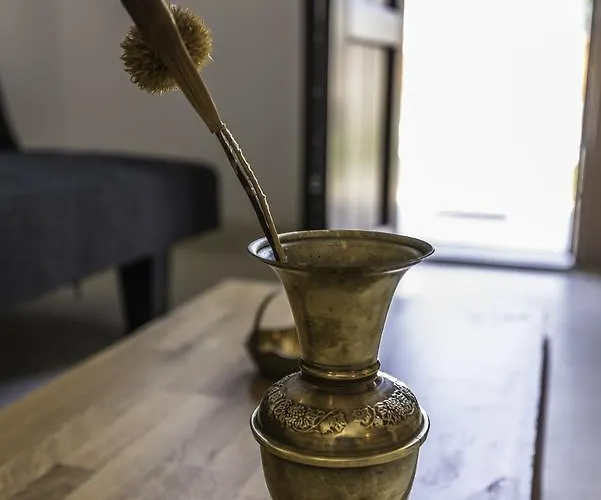 Anthelia 스칼라 포타미아스